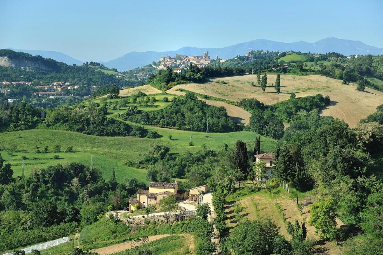 Country House Ca' Vernaccia Guest House Урбино Екстериор снимка