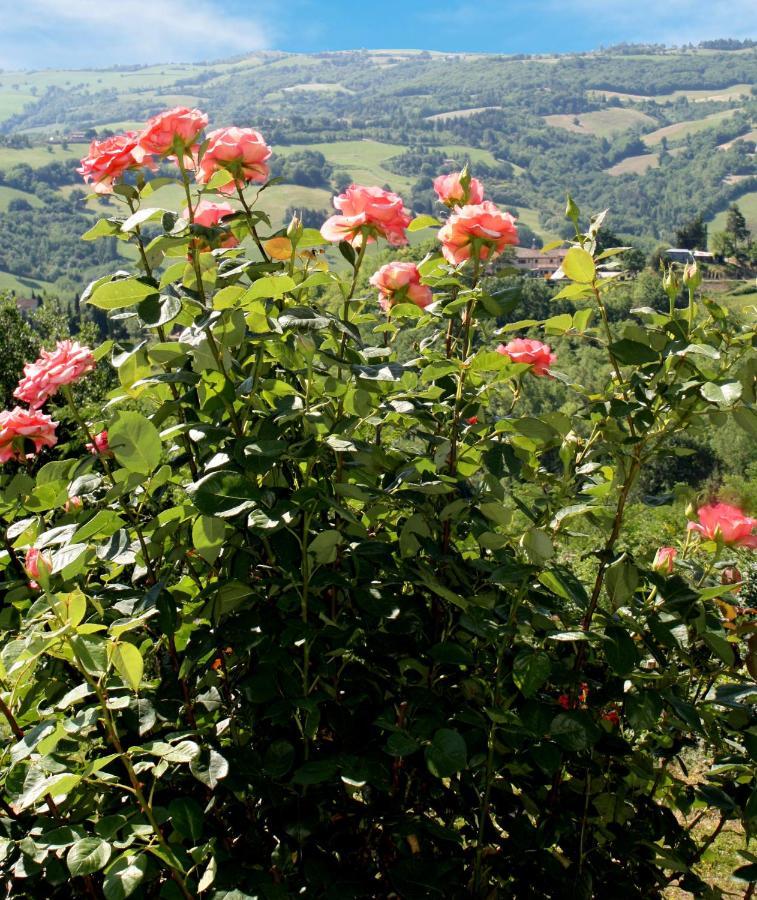 Country House Ca' Vernaccia Guest House Урбино Екстериор снимка