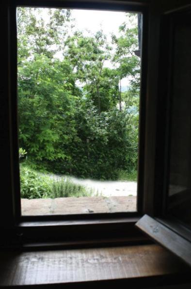 Country House Ca' Vernaccia Guest House Урбино Екстериор снимка