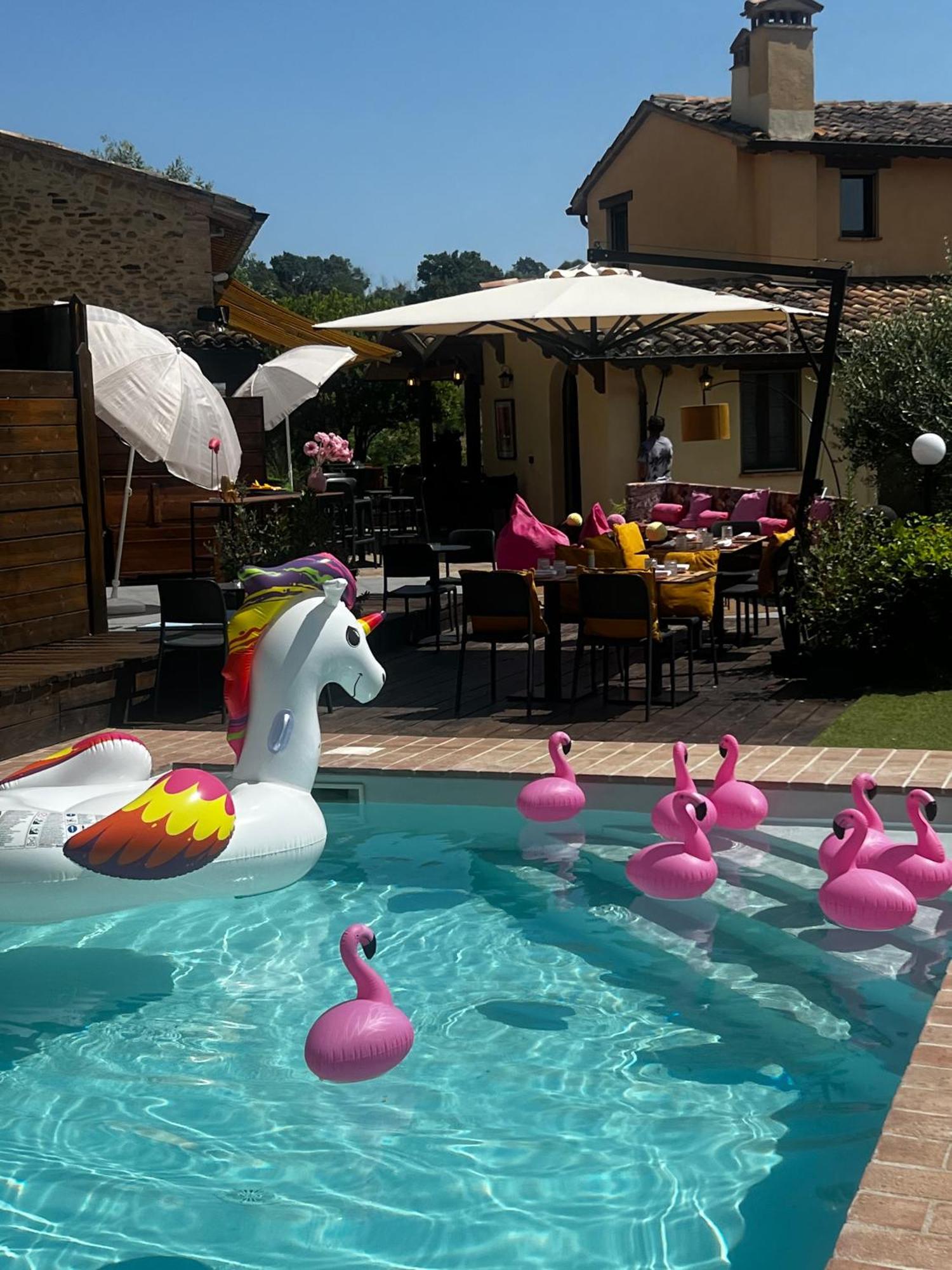 Country House Ca' Vernaccia Guest House Урбино Екстериор снимка
